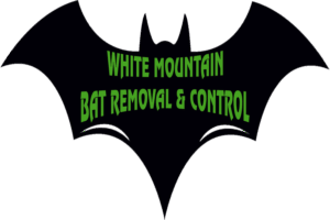 White Mountain Bat Removal And Control