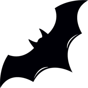 cropped Bats Bat Removal Bat Proofing Bat Exclusion Bat Control Bat Guano