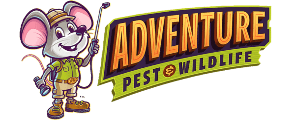 Adventure Pest Control